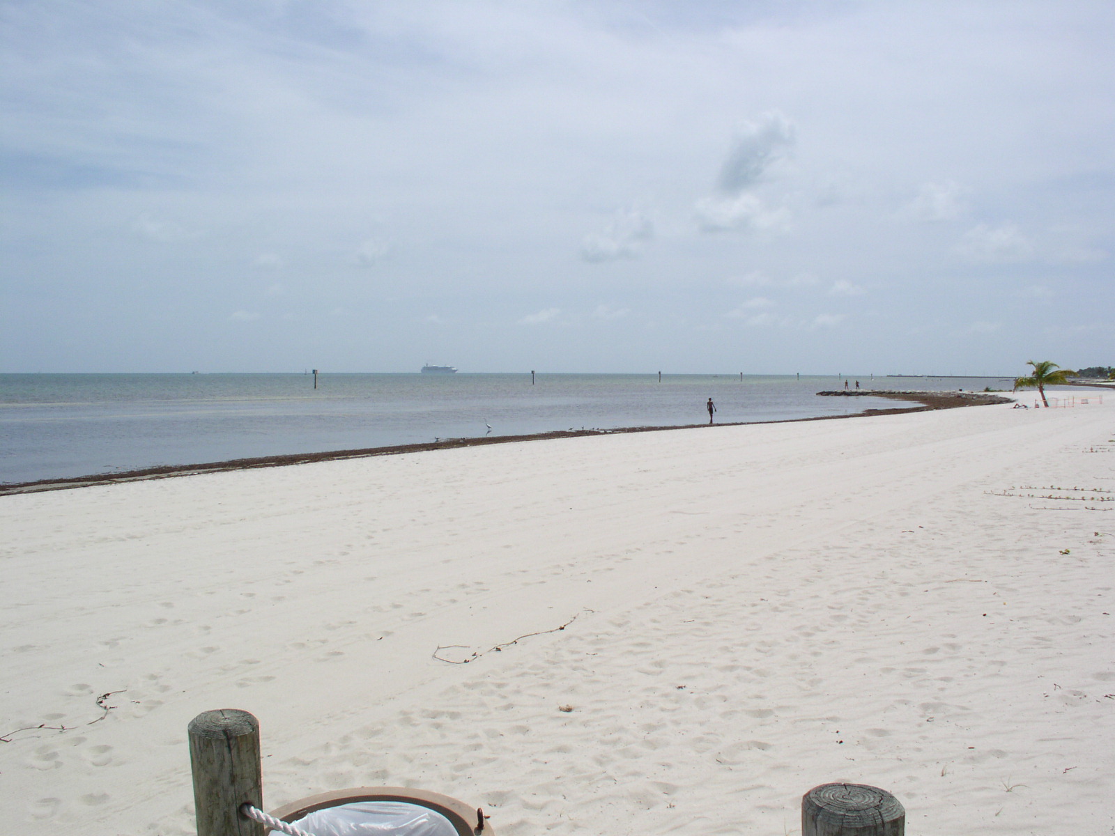photo1